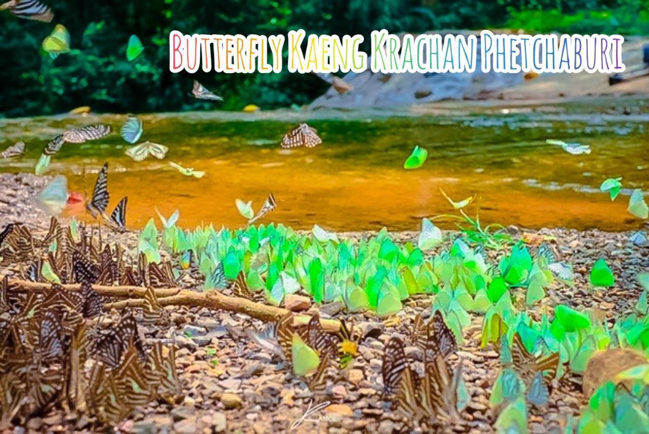 Ban Tha Ling Lom Baan Rai Pray Rung Kaeng Krachan מראה חיצוני תמונה